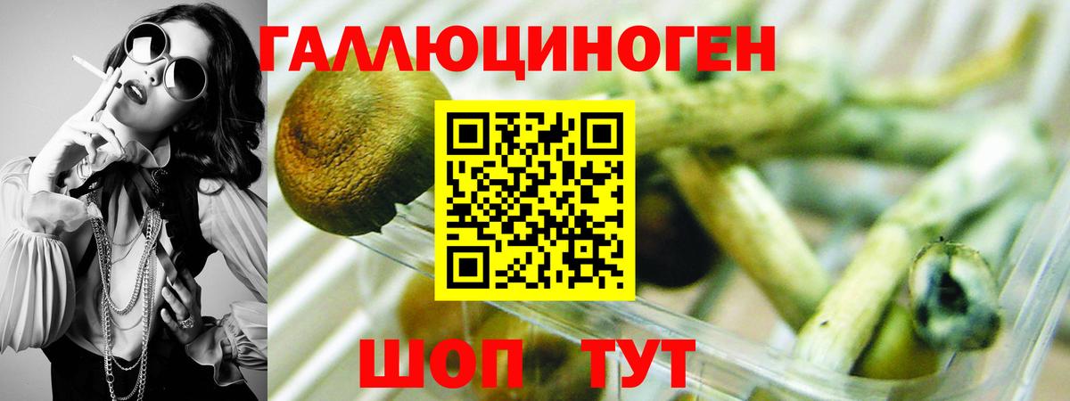 Псилоцибиновые грибы Magic Shrooms  Вход с VPN  Обнинск  Псилоцибиновые грибы Psilocybine cubensis 